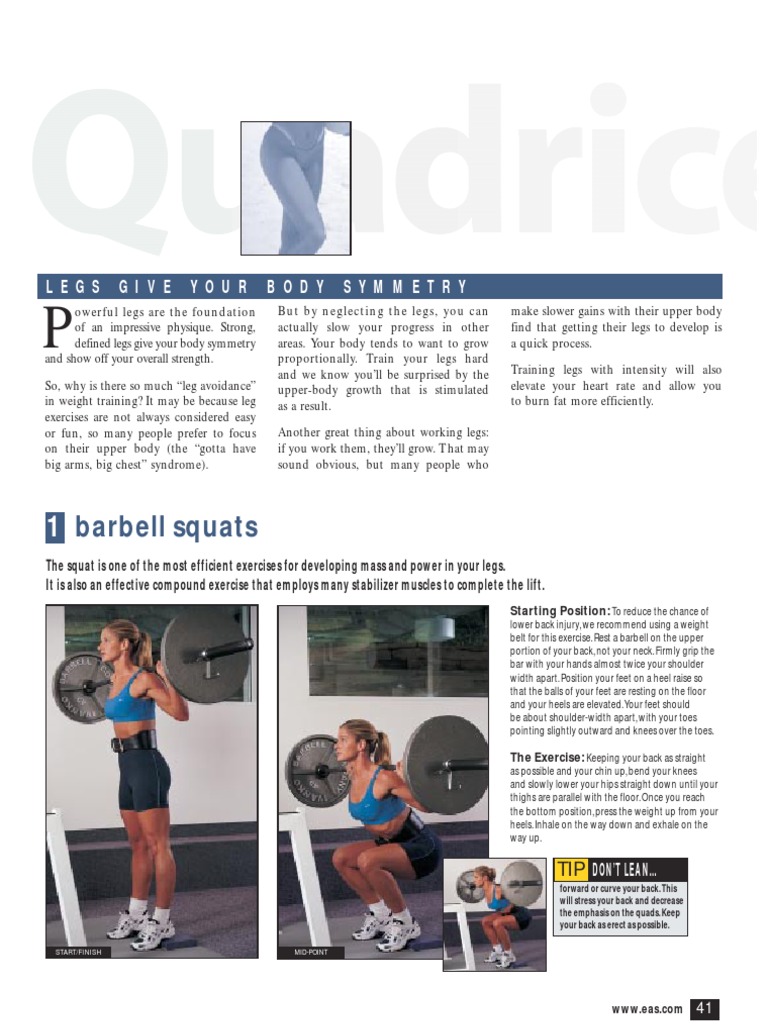 Body for Life Lower Body Workout Guide | PDF | Musculoskeletal System ...