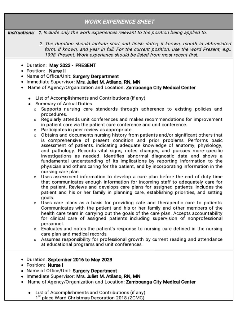 Work Sheet Experience | PDF