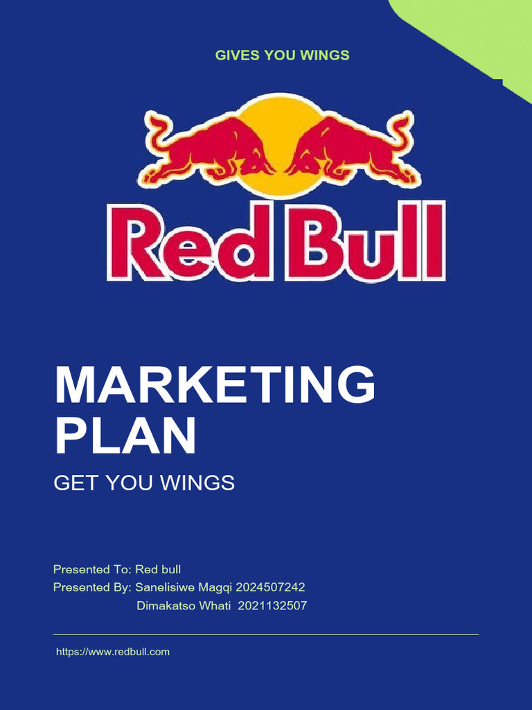 Red Bull Marketing Strategy Overview | PDF | Brand | Marketing