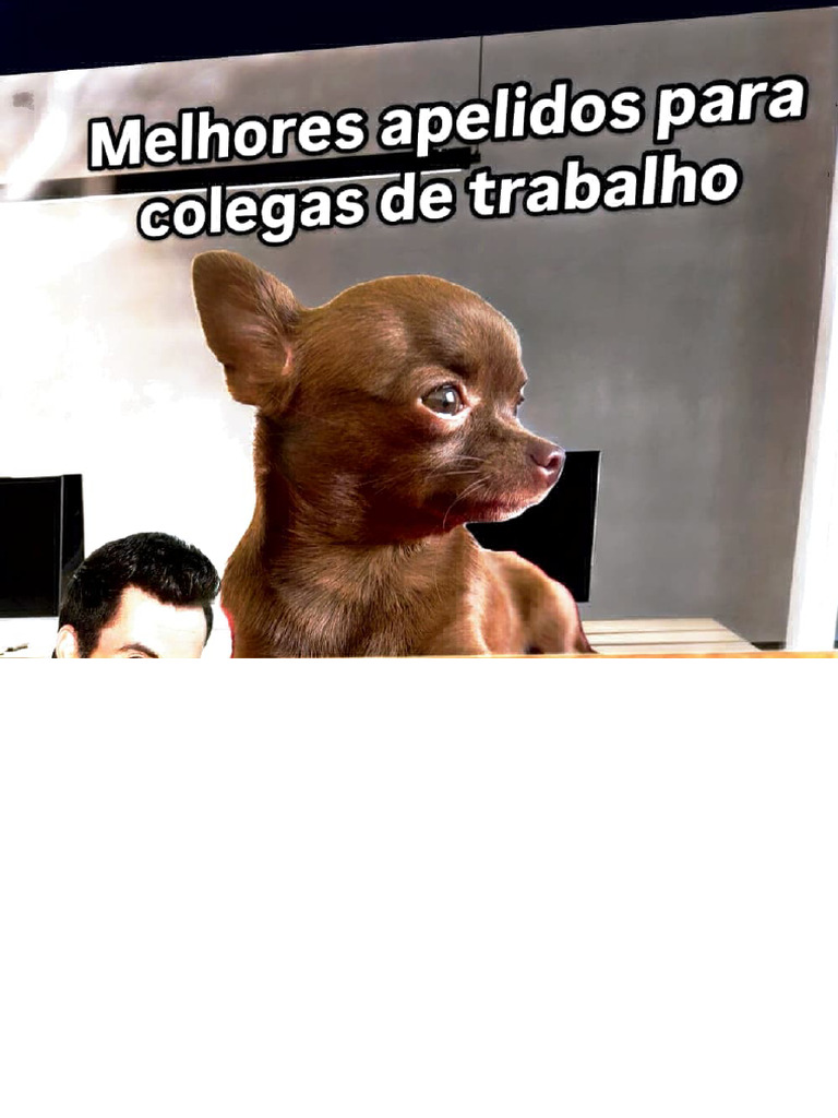 Apelidos Criativos para Colegas de Trabalho | PDF