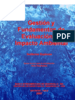 Gestion y Fundamentos de EIA 2007