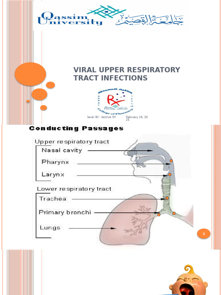 8 - Viral Upper Respiratory Tract Infections | PDF | Common Cold | Cough