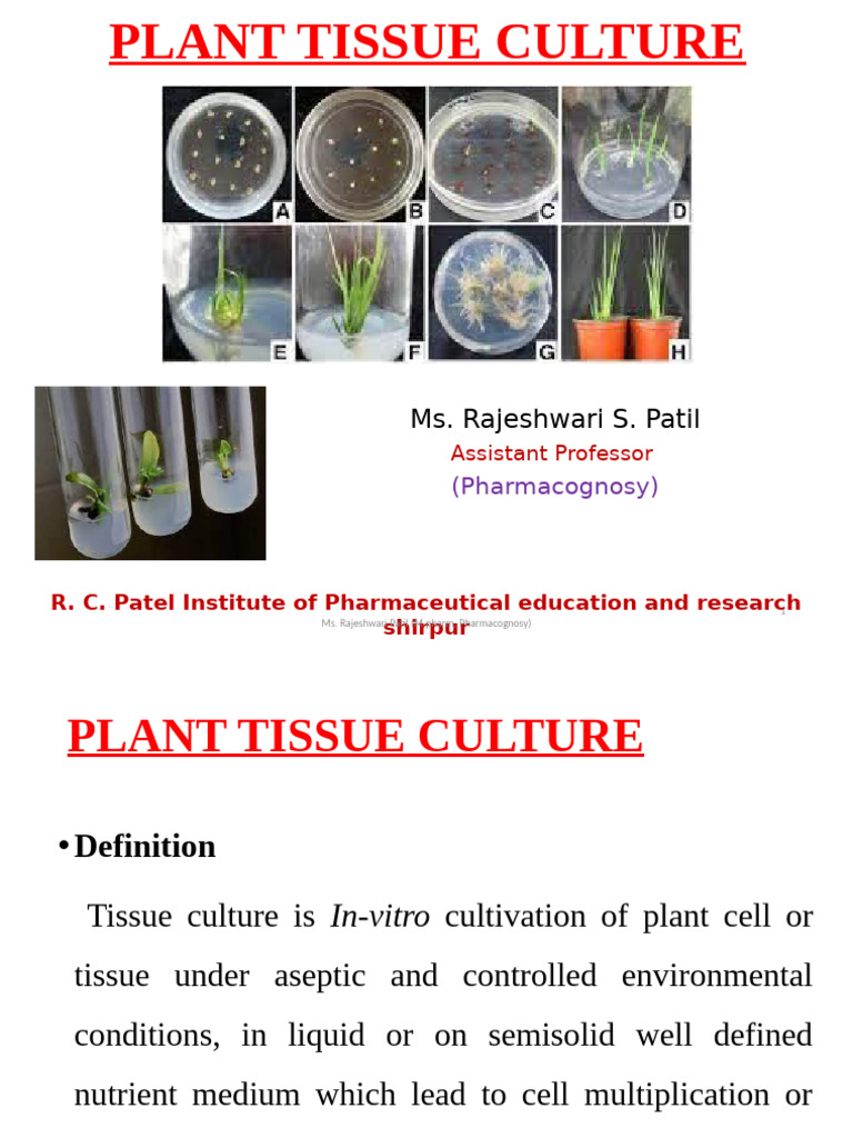 Plant Tissue Culture Techniques Explained | PDF | Plant Nutrition | Seed