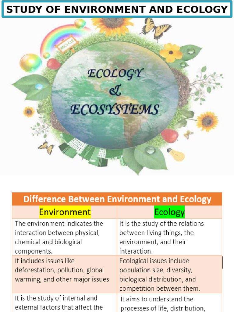 unit 1 | PDF | Food Web | Ecosystem