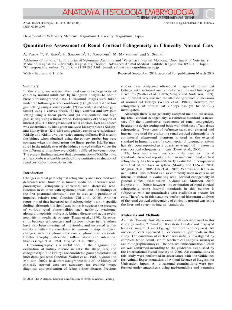 Quantitative assessment of renal cortical echogenicity in clinically