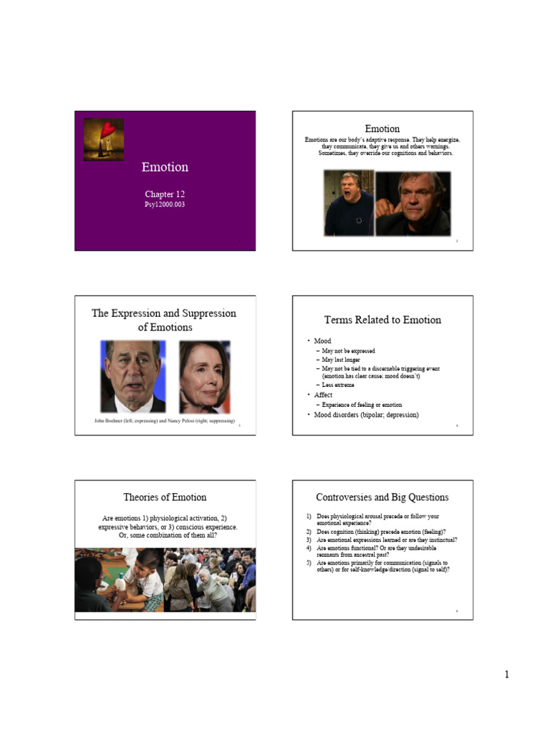 Understanding Emotions: Theories and Impact | PDF | Emotions ...