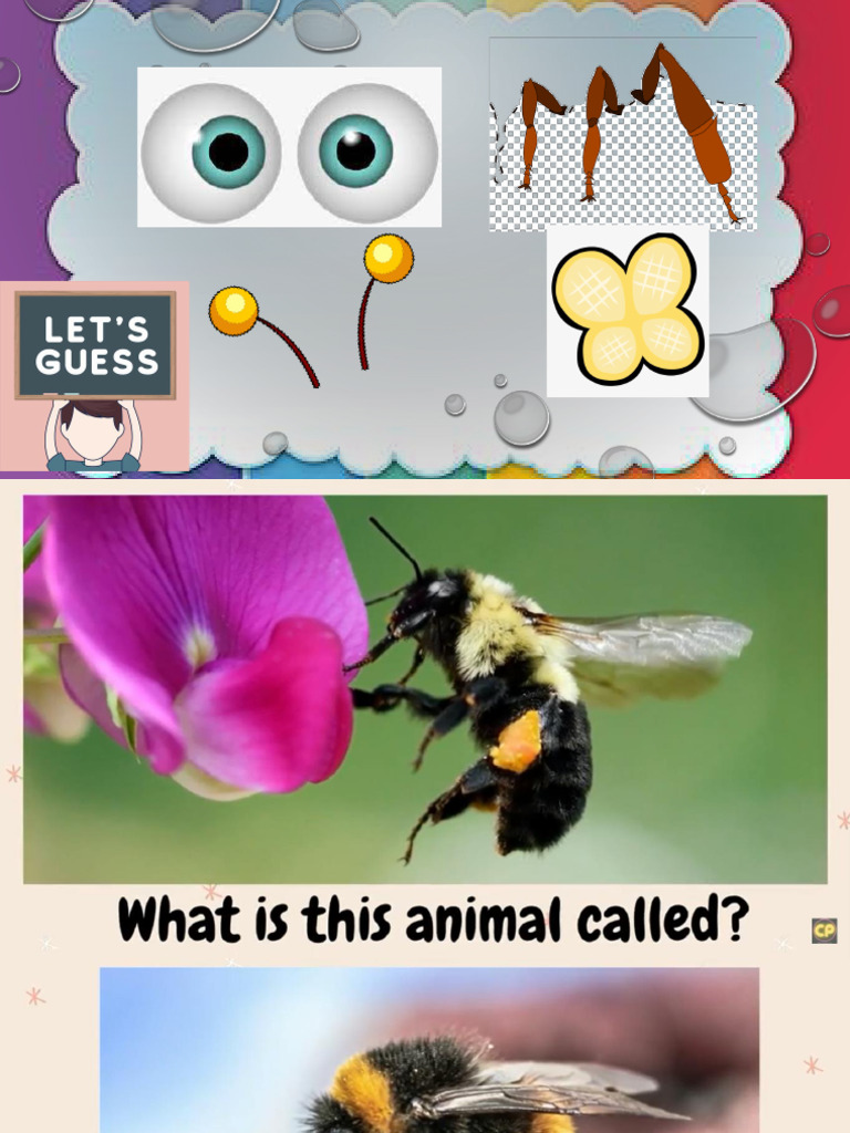 Bumble Bee | PDF