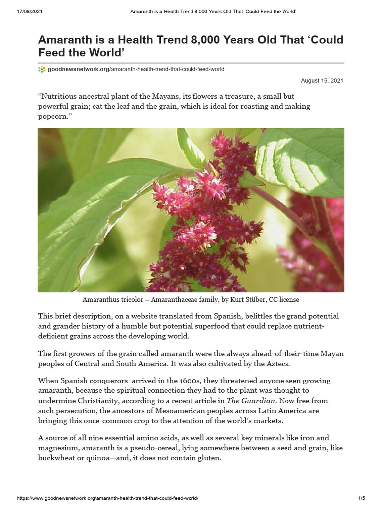 Amaranth: Ancient Superfood for Today | PDF | Agriculture | Crops