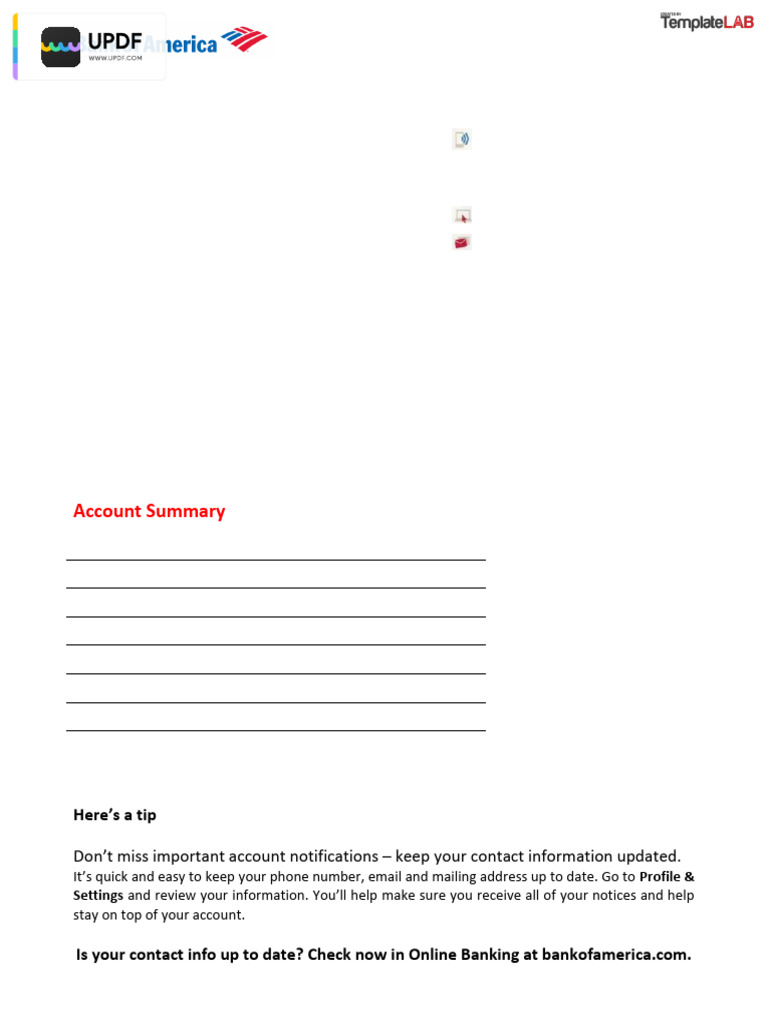 Bank of America Account Summary 2016 | PDF