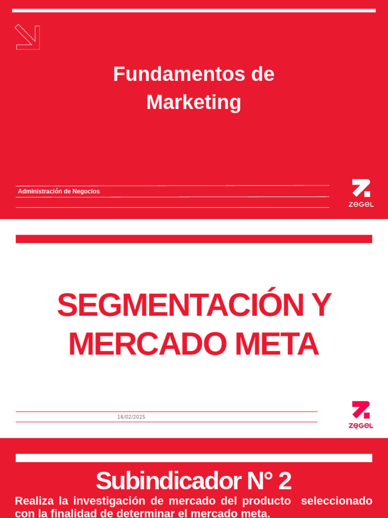 Segmentación y Mercado Meta en Marketing | PDF | Segmentación de ...