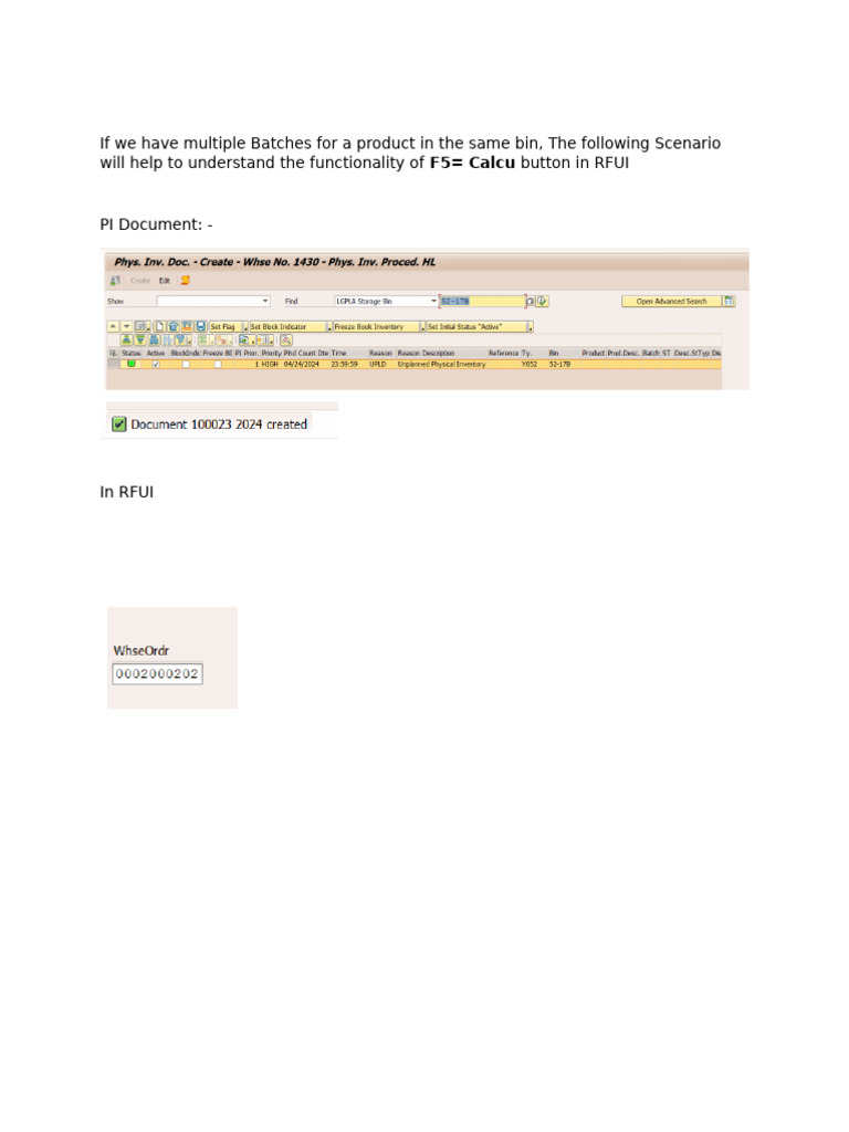 Understanding F5=Calcu in RFUI Batches | PDF