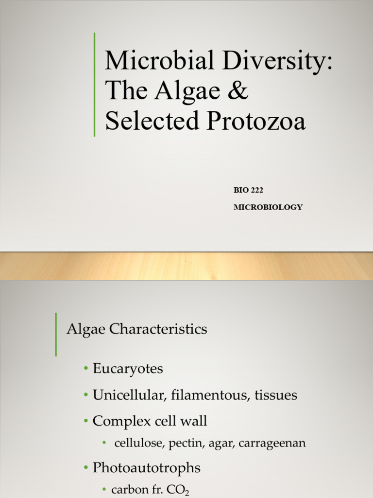Algae and Protazoa PP - 23-24 | PDF | Algae | Cyanobacteria