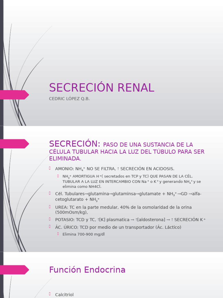 Regulación del pH y Buffer Renal | PDF | Solución tampón | Riñón