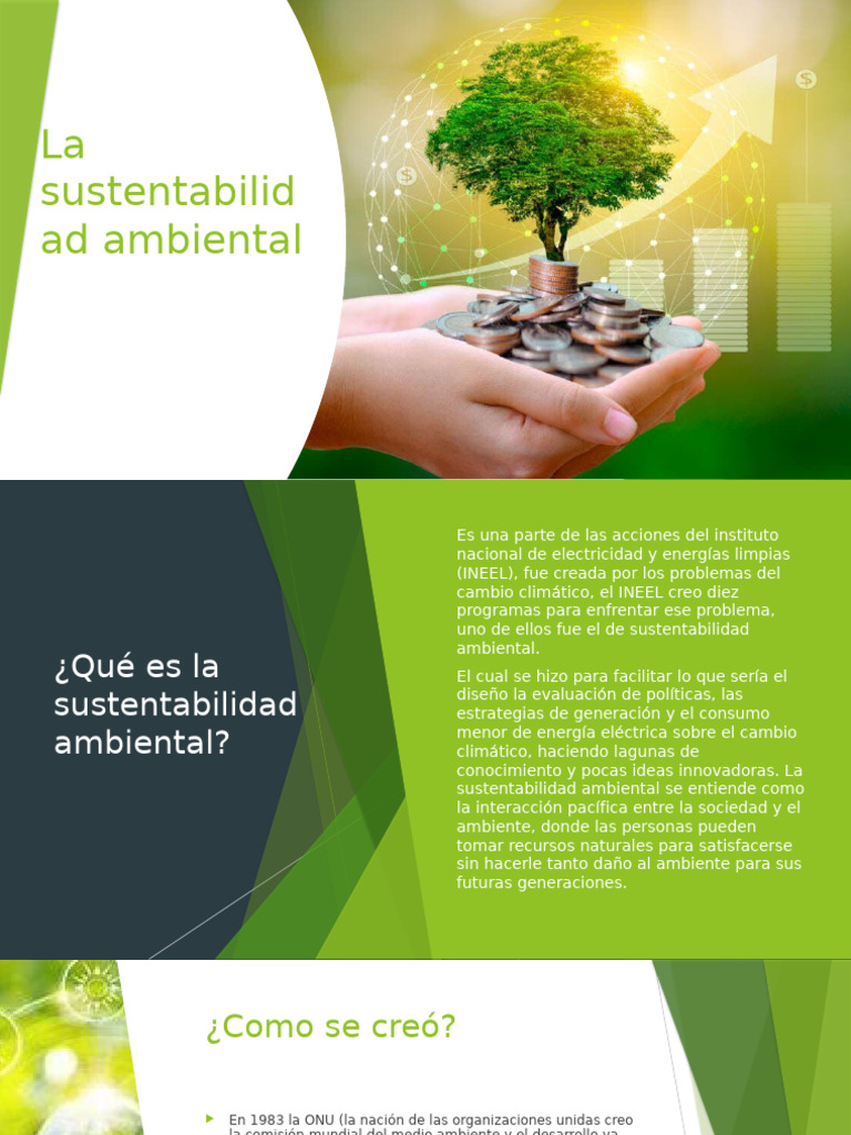 Importancia de la Sustentabilidad Ambiental | PDF | Sustentabilidad ...