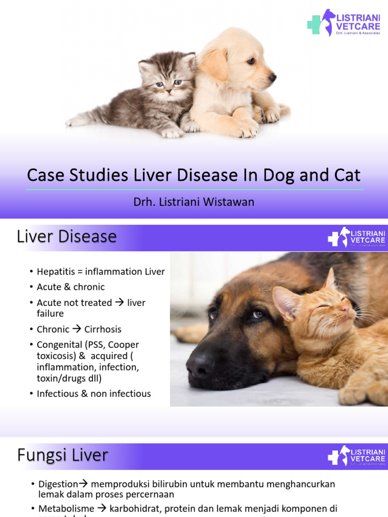 Liver Disease Case Study in Dogs | PDF | Cirrhosis | Liver