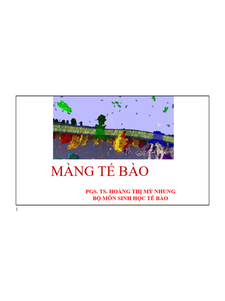 Cell Membrane 1 - Spring 2025 - TV-sent To Student | PDF