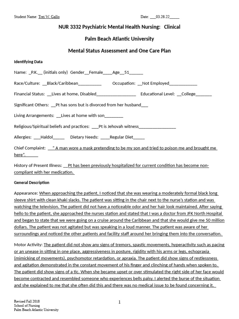 DHAT Mental Health Status Example | PDF | Mental Disorder | Illusion