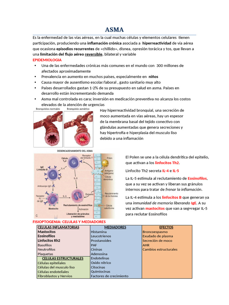 Asma: Epidemiología y Fisiopatología | PDF | Asma | Enfermedad pulmonar ...