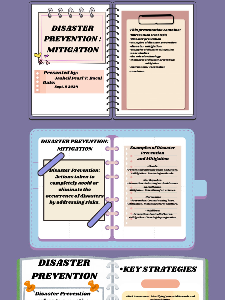 Disaster Prevention and Mitigation Strategies | PDF | Natural Disasters ...