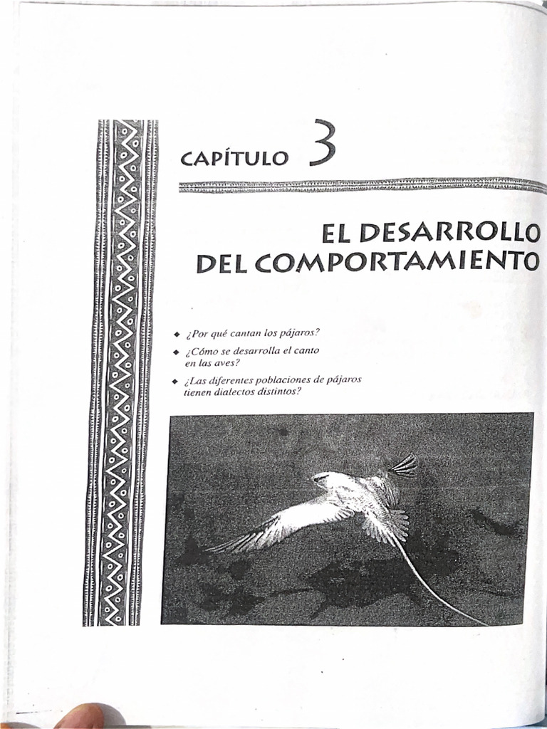 Capitulo 3 Libro | PDF