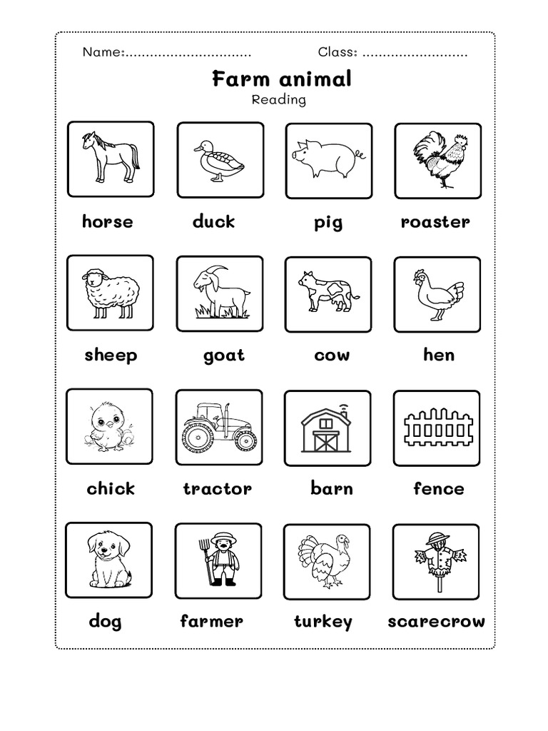 Farm Animal Worksheet Full | PDF | Barn | Goat