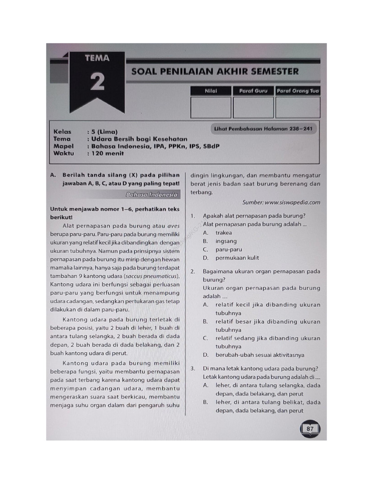 Tema 2 PAS | PDF