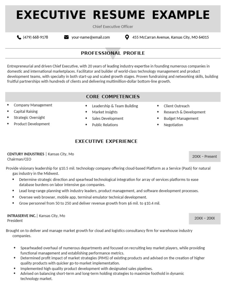 Executive Resume for CEO Position | PDF | Cloud Computing | Service ...