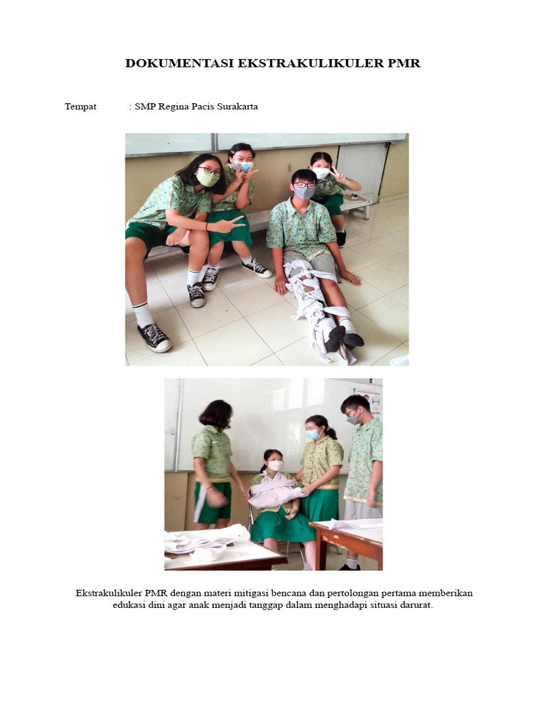 Dokumentasi PMR | PDF