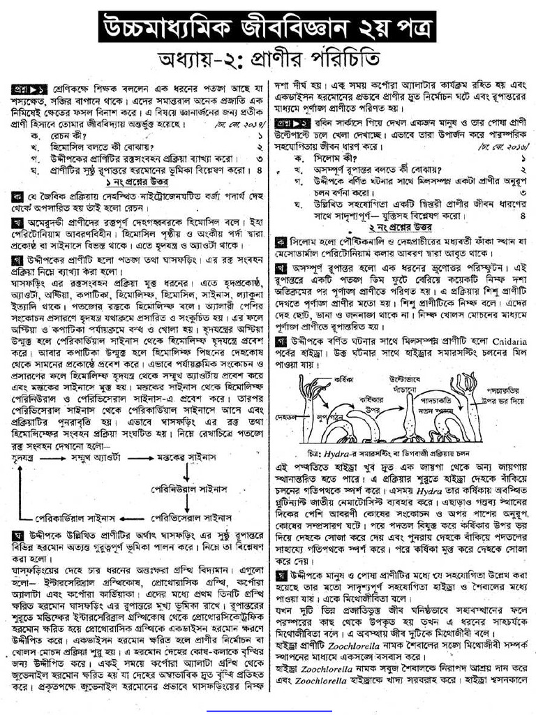 HSC Biology 2nd Paper Note 2nd Chapter Introduction To Animal | PDF