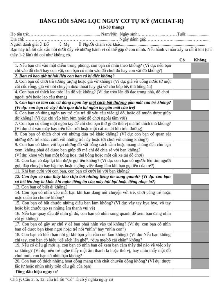 Mchat R | PDF