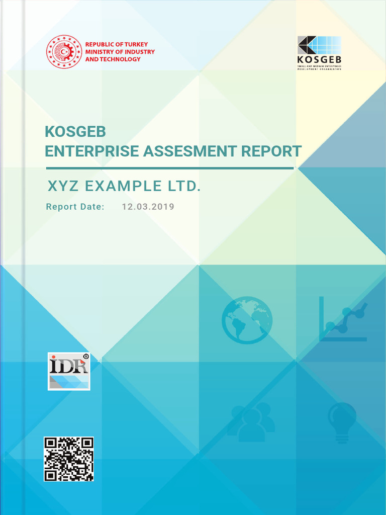 KOSGEB SME Assessment Report 2019 | PDF | Economies | Business
