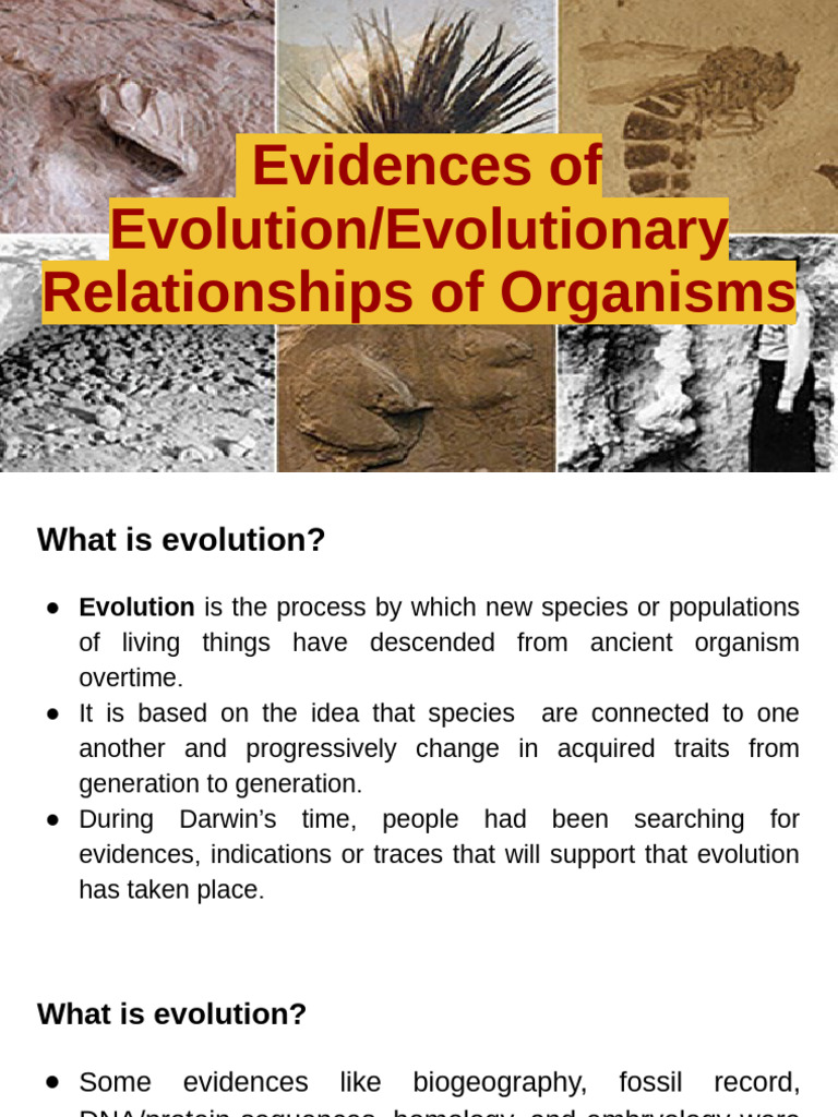 Inbound 6440081202823141278 | PDF | Homology (Biology) | Evolution