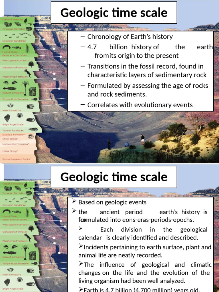 Inbound 3101983044001643101 | PDF | Geologic Time Scale | Homo