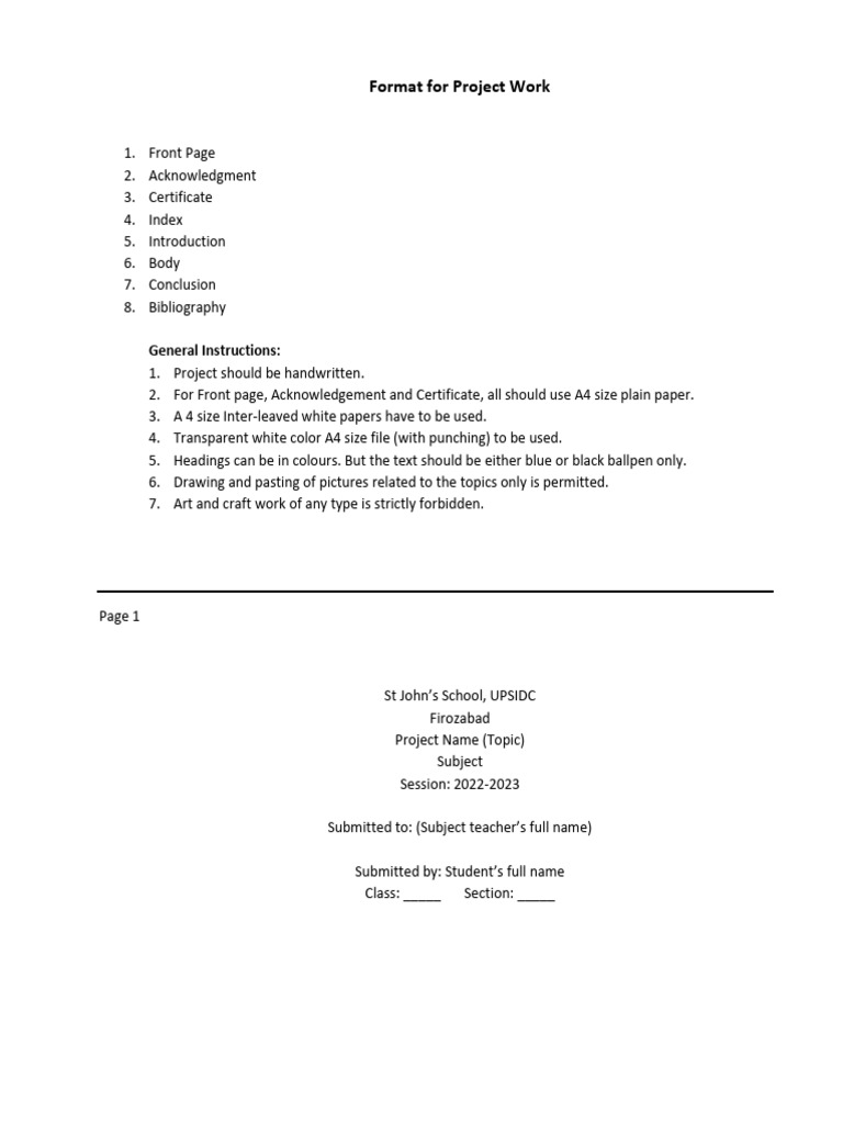Class IX and X Project Format | PDF