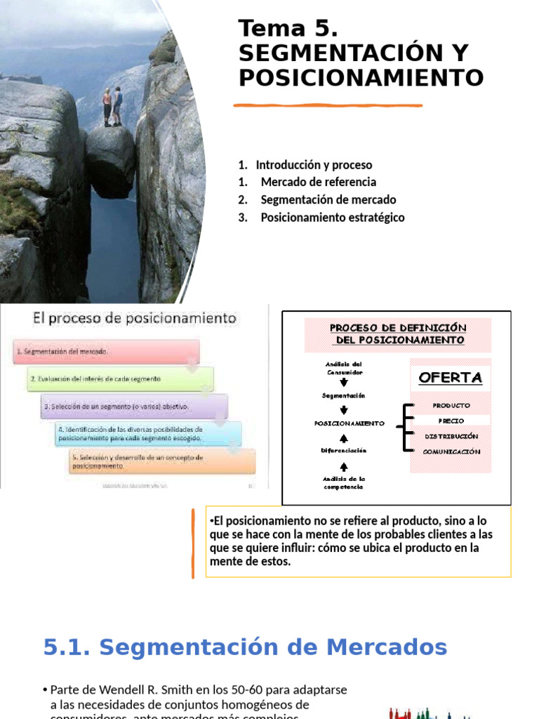 Segmentación y Posicionamiento de Mercados | PDF | Segmentación de ...