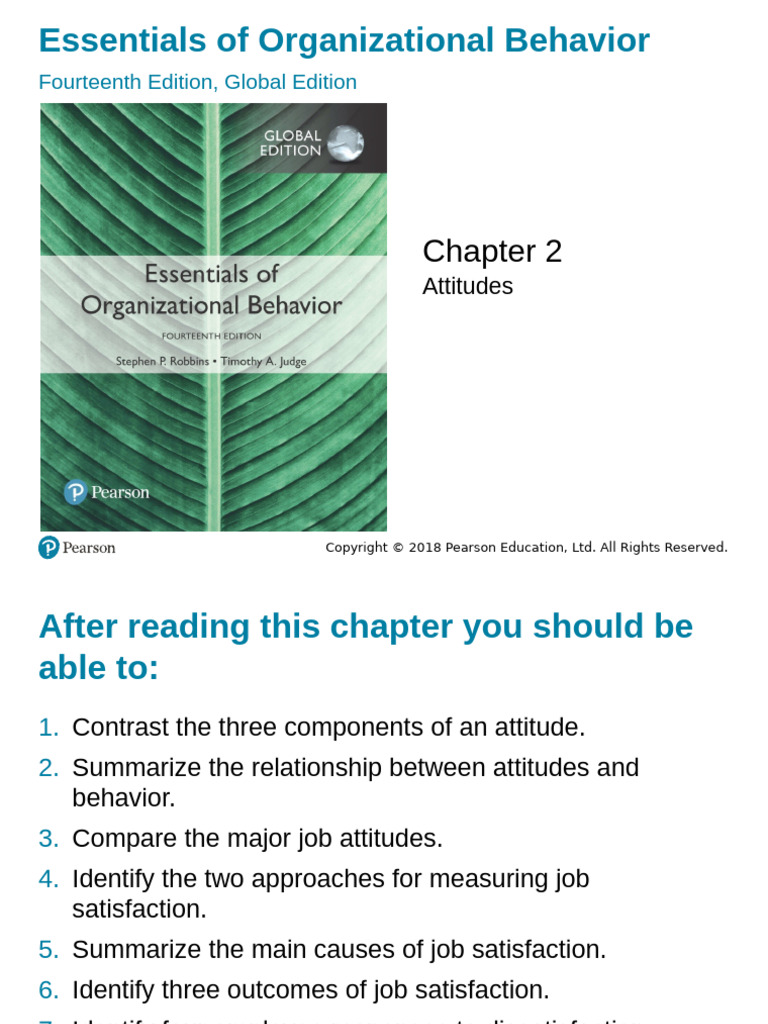 Chapter 2 - Attitudes | PDF | Attitude (Psychology) | Job Satisfaction
