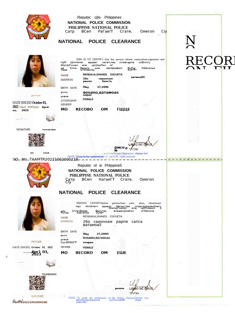 Police Clearance PDF | PDF