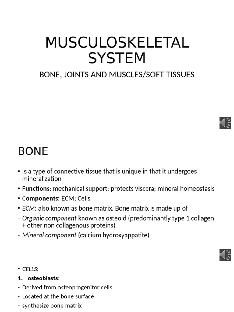 Msk 1 Pdf Bone Osteoblast