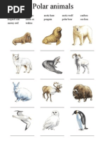 Download Polar Animals by VeronicaGelfgren SN8291625 doc pdf