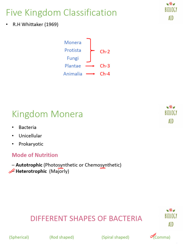 Kingdom Monera | PDF | Bacteria | Archaea