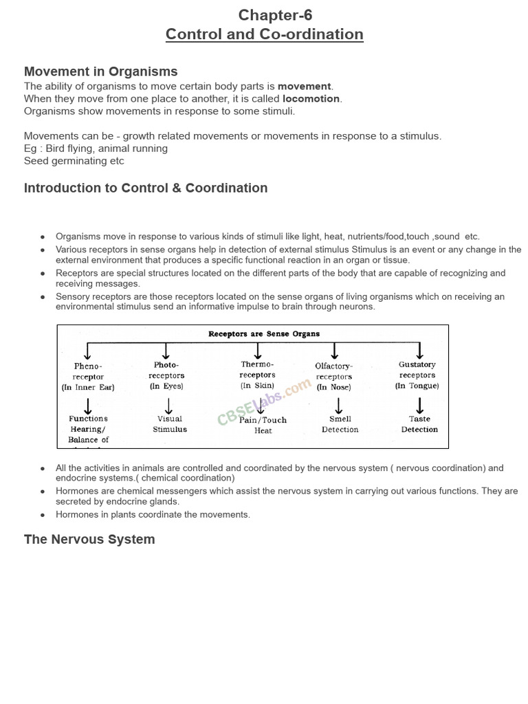 Control and Coordination in Organisms | PDF | Neuron | Central Nervous ...