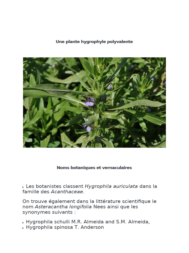 Sitemapcdatahttpsmodeinf Inetcomtuteur Plante Original