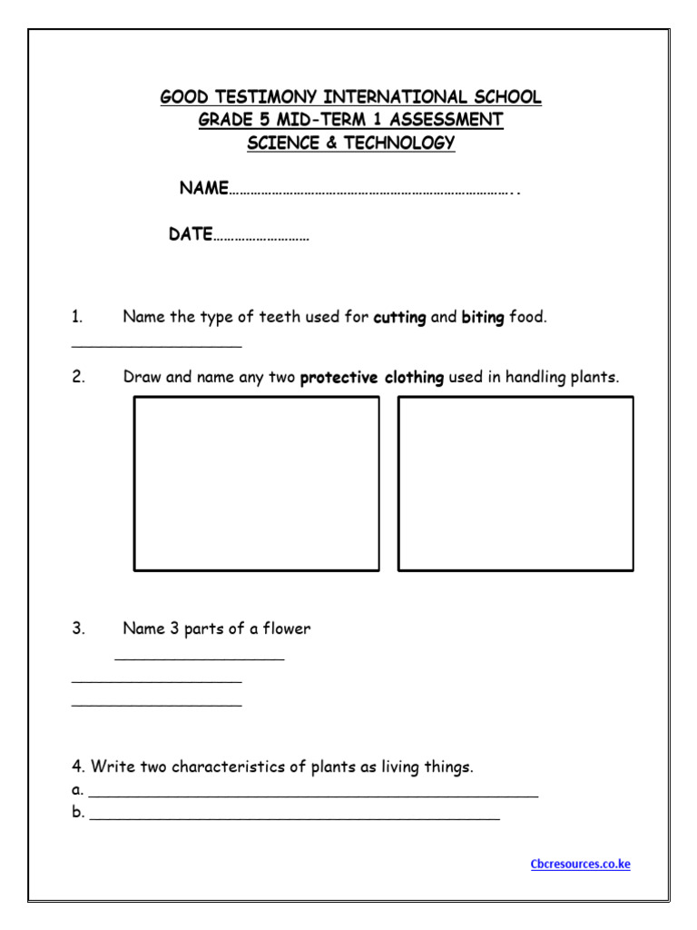 Grade 5 Science Assessment Term 1 | PDF