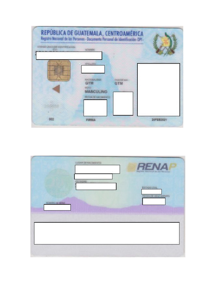 Diseño DPI | PDF