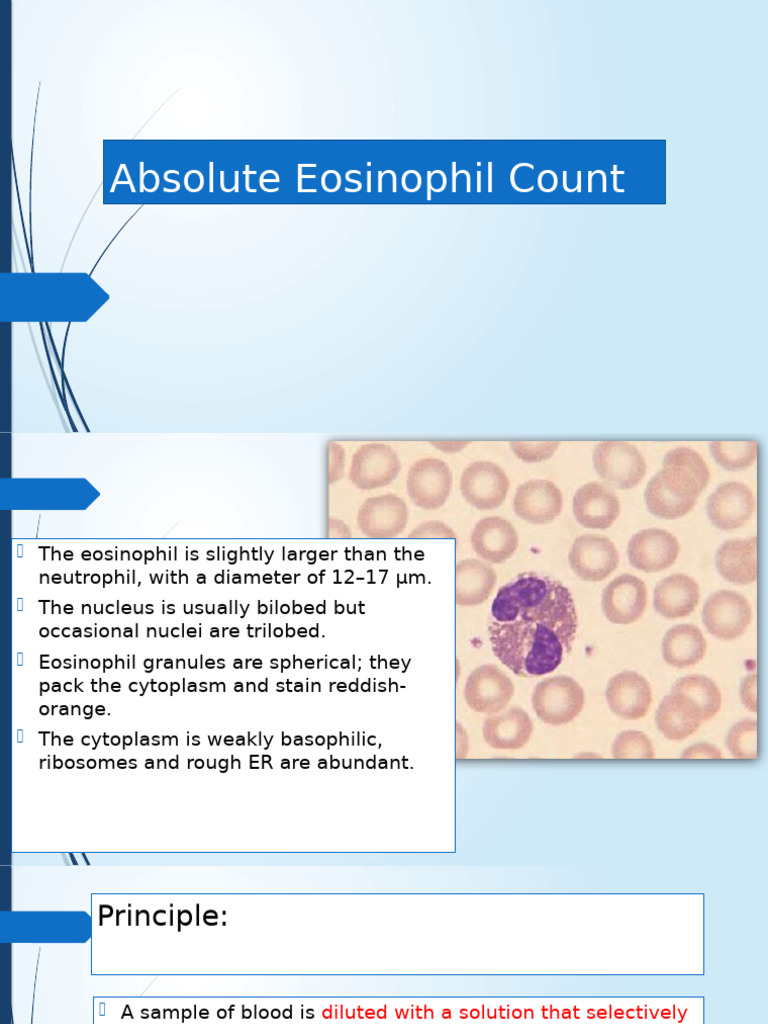 Absolute Eosinophil Count Calculation Guide | PDF | White Blood Cell ...