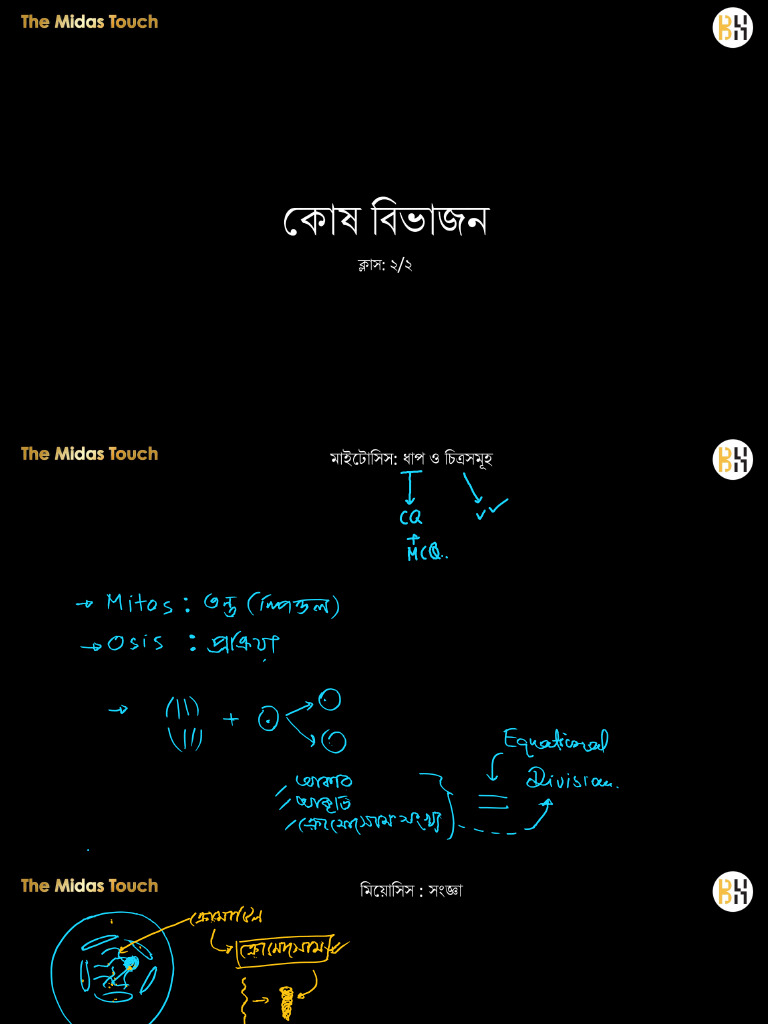 Midas | PDF