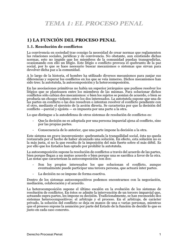 Funciones y principios del proceso penal | PDF | Ley procesal | Castigos