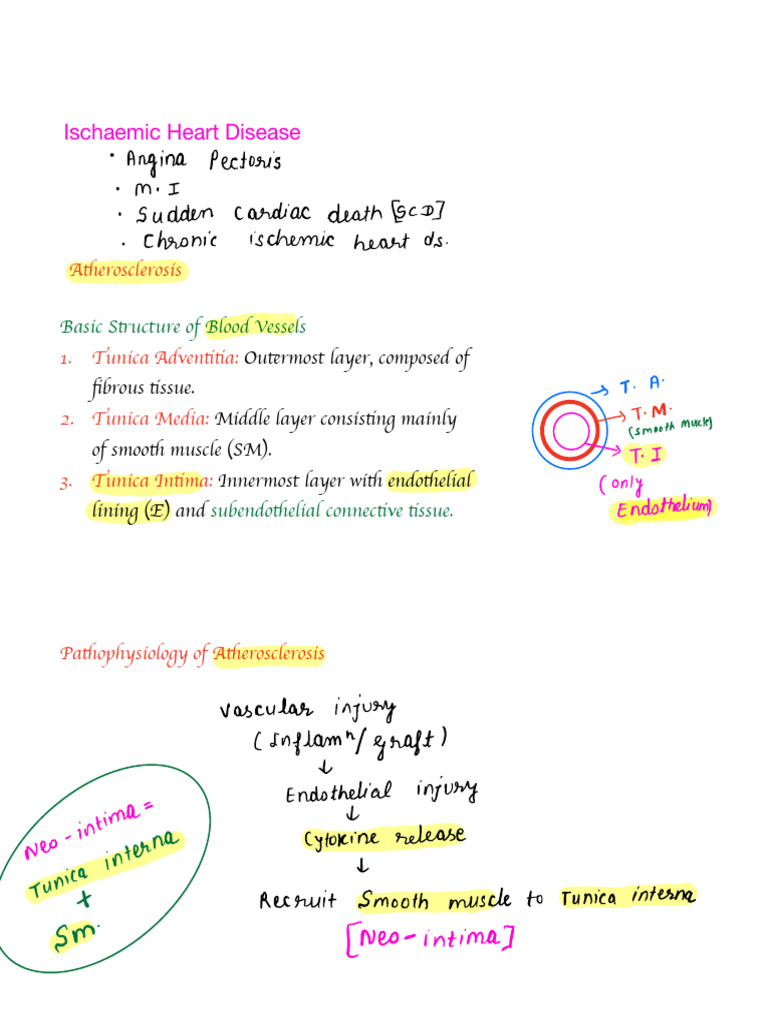 Understanding Ischaemic Heart Disease | PDF | Myocardial Infarction ...