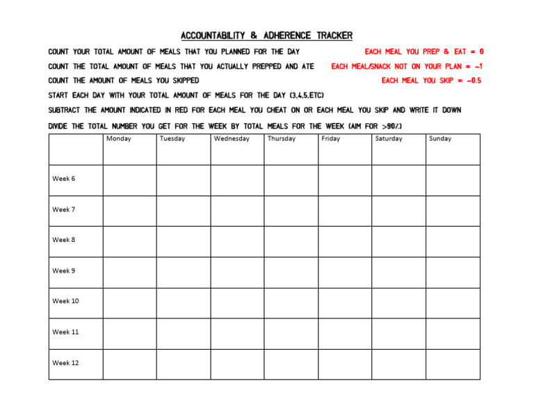 Gravity Transformation Accountability Adherance Tracker | PDF