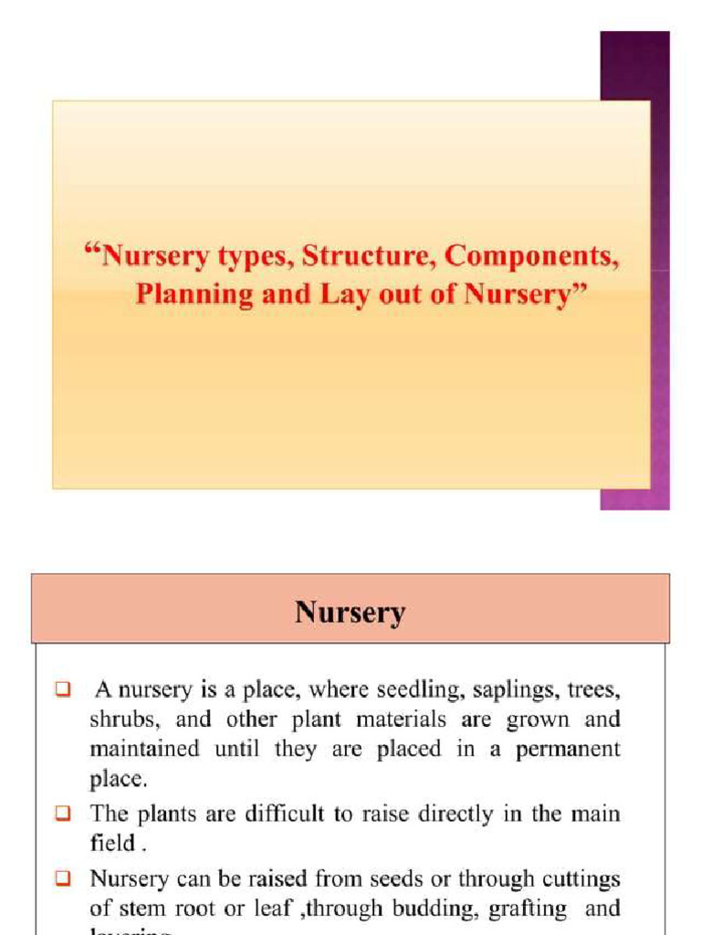 Nursert Types Structures Components | PDF